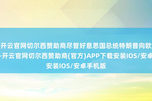 开云官网切尔西赞助商尽管好意思国总统特朗普向欧洲施压-开云官网切尔西赞助商(官方)APP下载安装IOS/安卓手机版