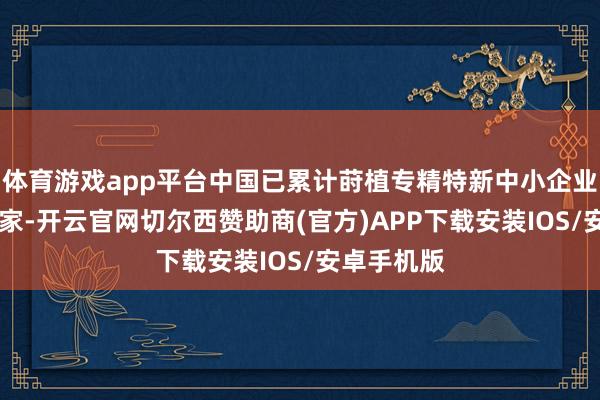 体育游戏app平台中国已累计莳植专精特新中小企业杰出14万家-开云官网切尔西赞助商(官方)APP下载安装IOS/安卓手机版