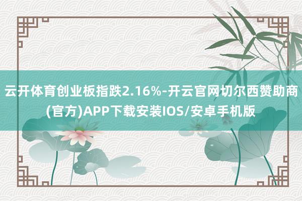 云开体育创业板指跌2.16%-开云官网切尔西赞助商(官方)APP下载安装IOS/安卓手机版