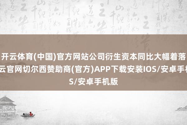开云体育(中国)官方网站公司衍生资本同比大幅着落-开云官网切尔西赞助商(官方)APP下载安装IOS/安卓手机版