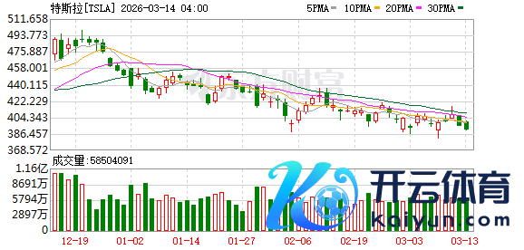 K图 TSLA_0