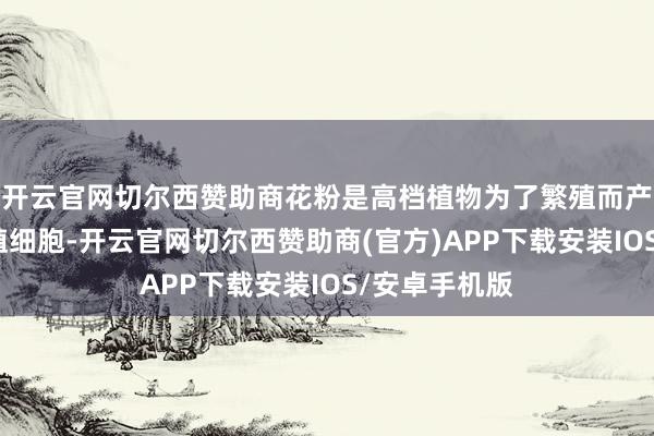 开云官网切尔西赞助商花粉是高档植物为了繁殖而产生的雄性生殖细胞-开云官网切尔西赞助商(官方)APP下载安装IOS/安卓手机版