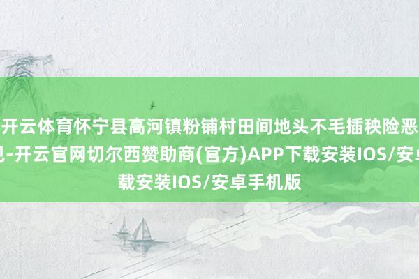 开云体育怀宁县高河镇粉铺村田间地头不毛插秧险恶随地可见-开云官网切尔西赞助商(官方)APP下载安装IOS/安卓手机版