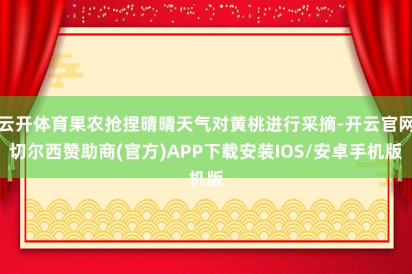 云开体育果农抢捏晴晴天气对黄桃进行采摘-开云官网切尔西赞助商(官方)APP下载安装IOS/安卓手机版